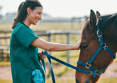 Vet-Asstnt-Horse-Care-Mgnt